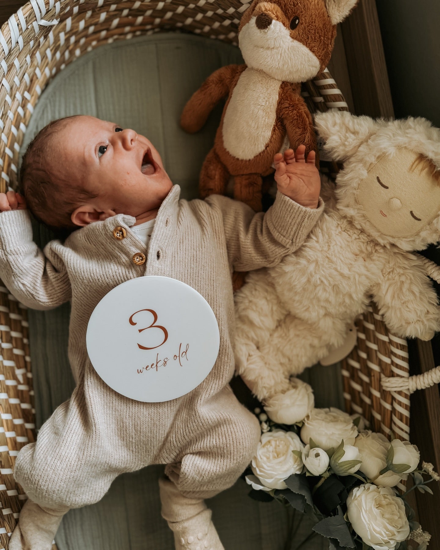 Baby Milestone Cards so they can be chewed on safe for baby