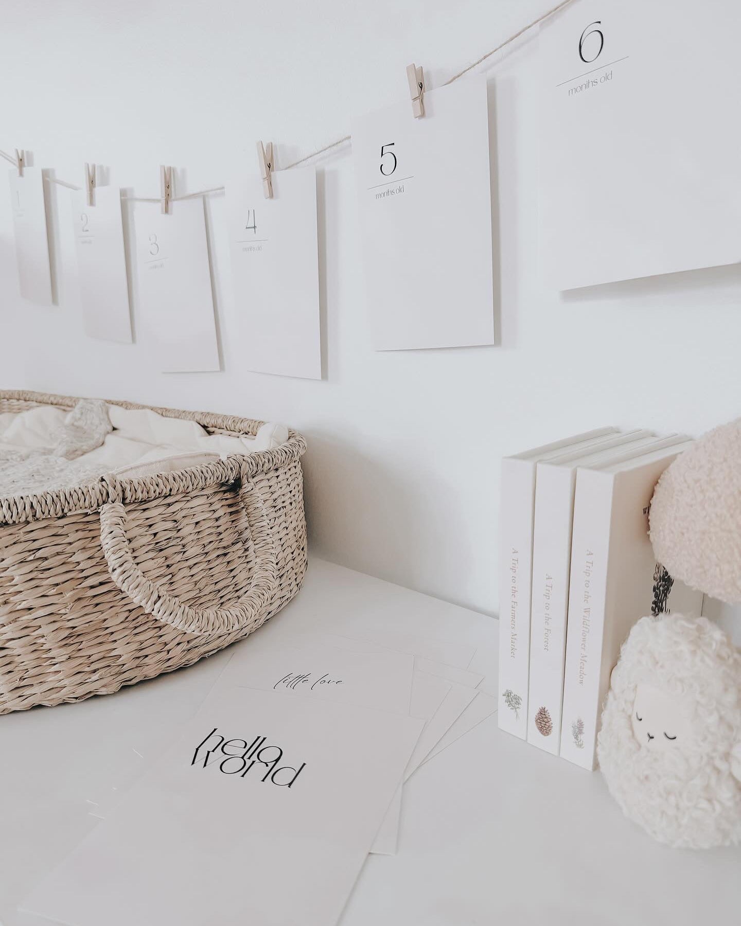 Baby monthly milestone cards hand and footprint kit from birth to 12 months and their first steps 